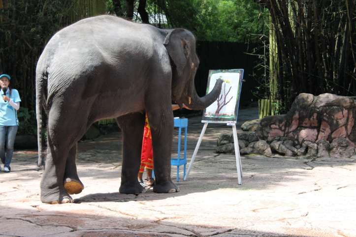 Elephant painting