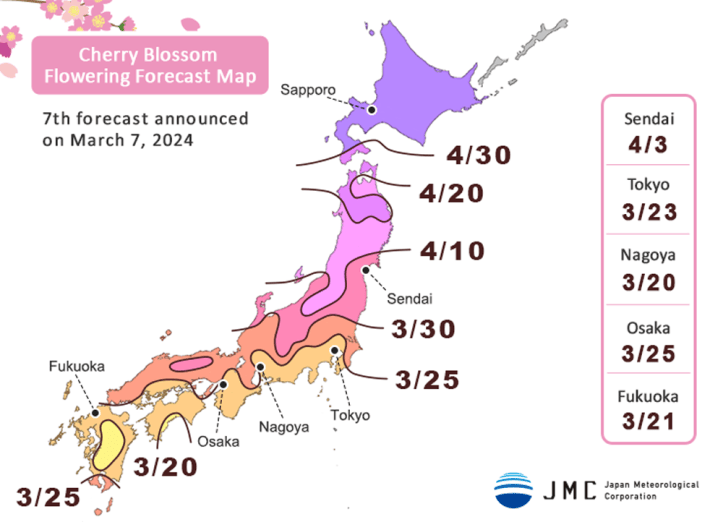 A guide to Chasing Cherry Blossoms in Japan – Unending Vacations